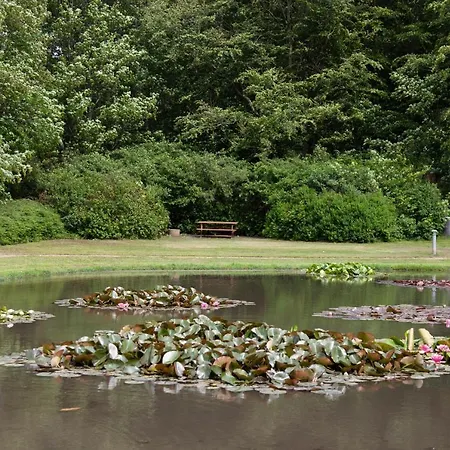 Couette-café Like House 9 A 4*